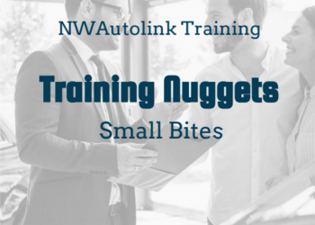 Training Nuggets – Small Bites