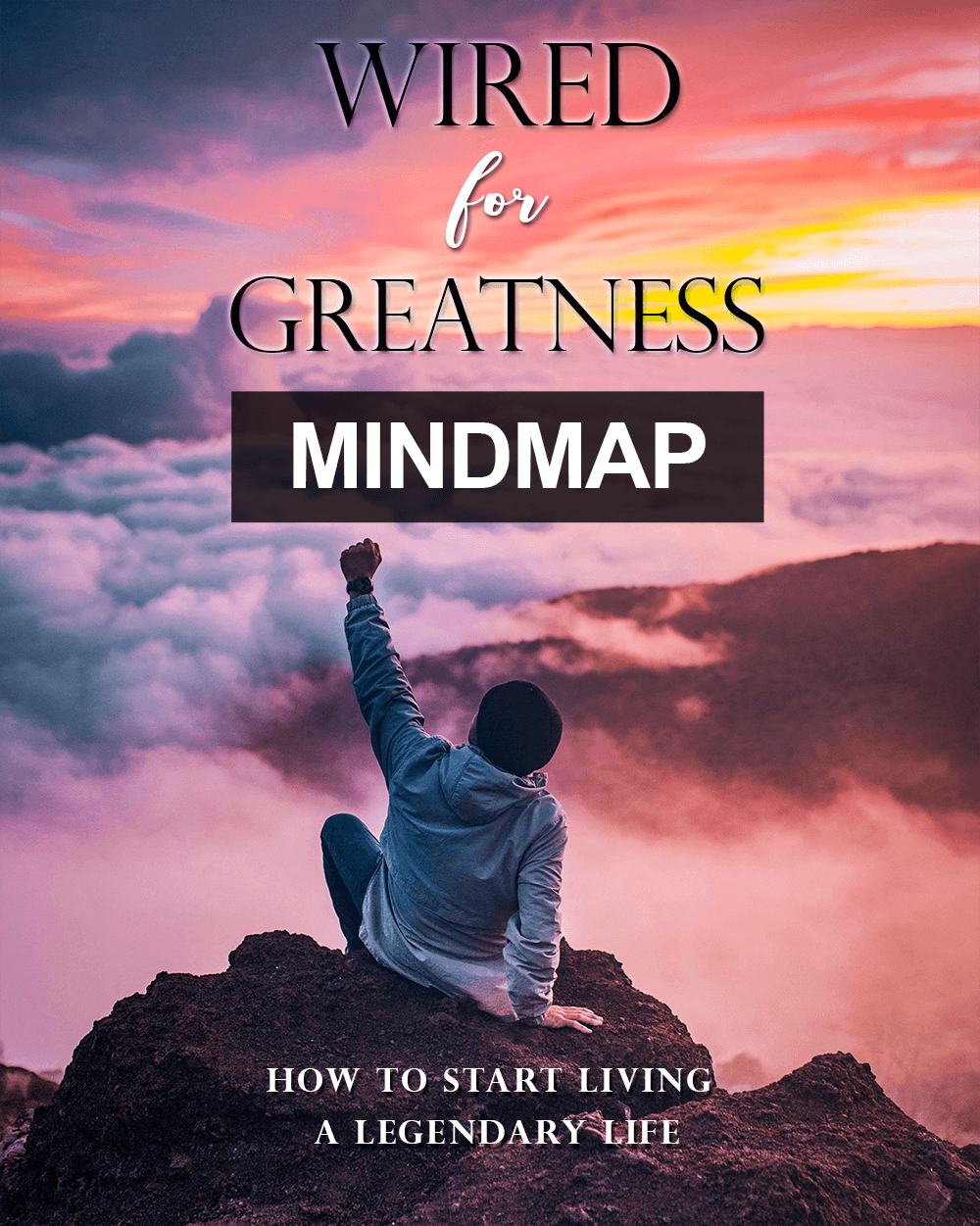 Wired for Greatness – Mindmap